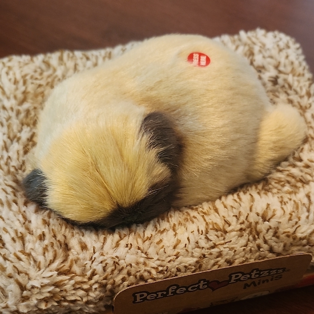 Cream and Black Small Pet Bedding